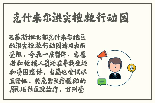 在线观看91精品国产入口